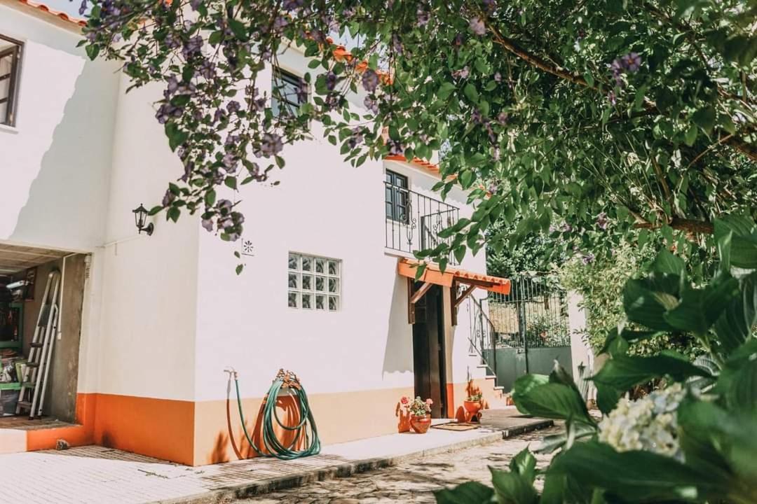 Villa Casa Da Milharica Figueiro Dos Vinhos Exterior foto